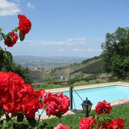All Stone Horse Stable Converted To Elegant Apartment - Baltimora Spoleto Dış mekan fotoğraf